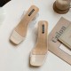 Women Transparent Bind Solid Color Chunky Heels Slippers